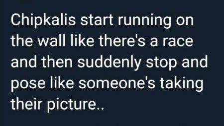 Memes & Satire image