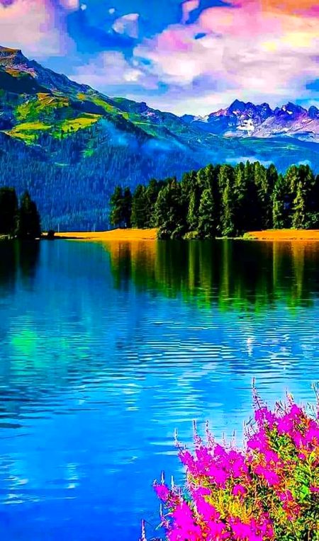 Beautiful Nature image