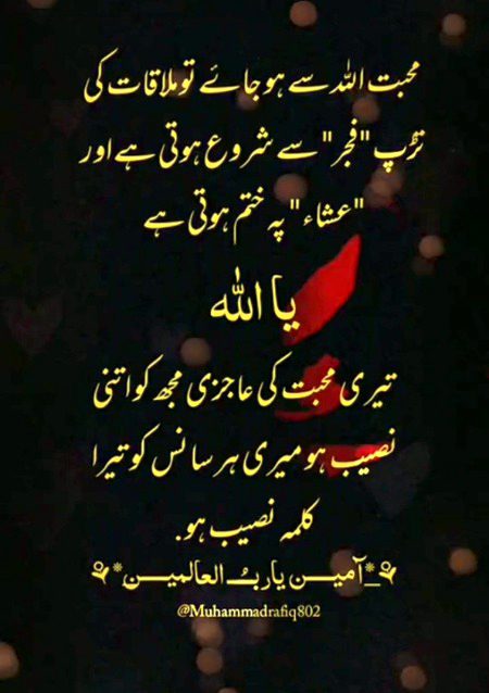 Islamic Quotes image