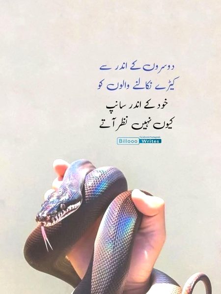 Life Advice image