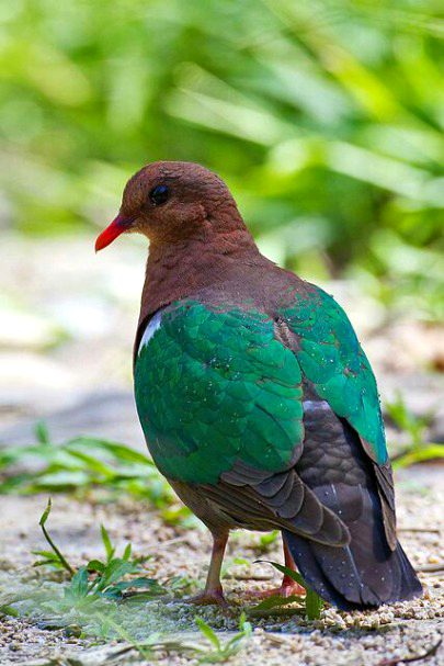 Beautiful Nature image