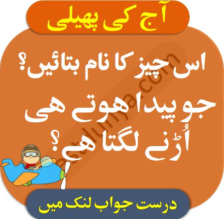Riddles & Puzzles image