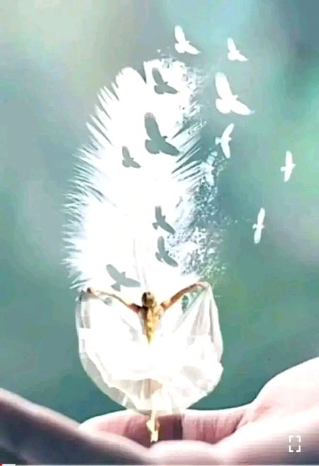 چراغ دل کا ۔  مقابل ہوا کے رکھتے ہیں
ہر ایک حال میں  تیور بلا کے رکھتے ہیں 
ہمیں پسند نہیں جنگ میں بھی مکاری
جسے نشانے پہ رکھیں ۔بتا کے رکھتے ہیں