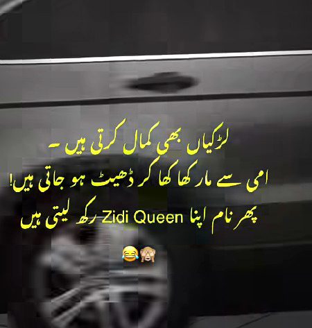 Memes & Satire image