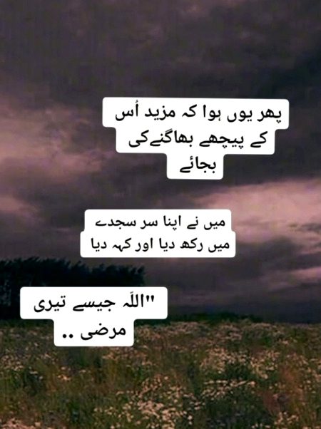 M apny RAB ki raza m razi hun🤲🤲🤲
