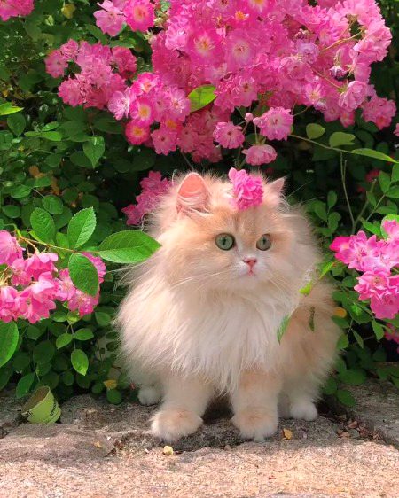 Beautiful Nature image