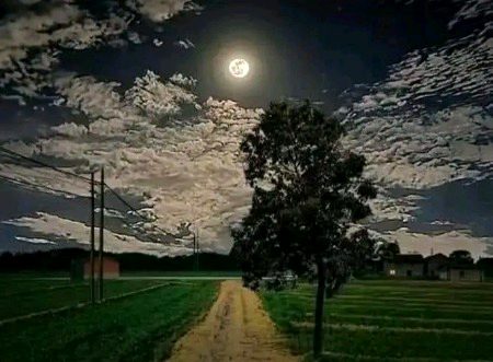 Beautiful Nature image