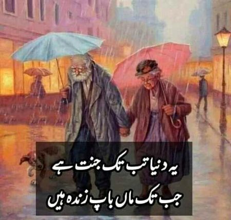 Life Advice image