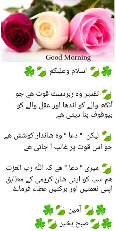 Attitude Quotes image