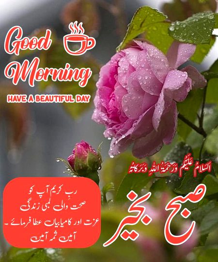 Assalamualaikum