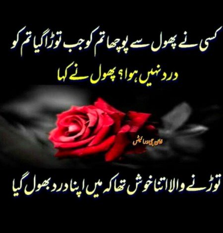 Sad Poetry image