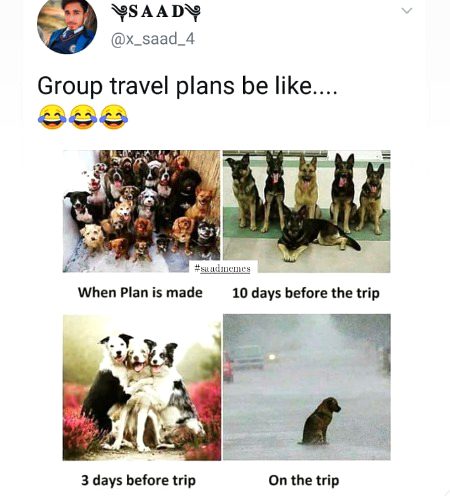 Memes and Satire