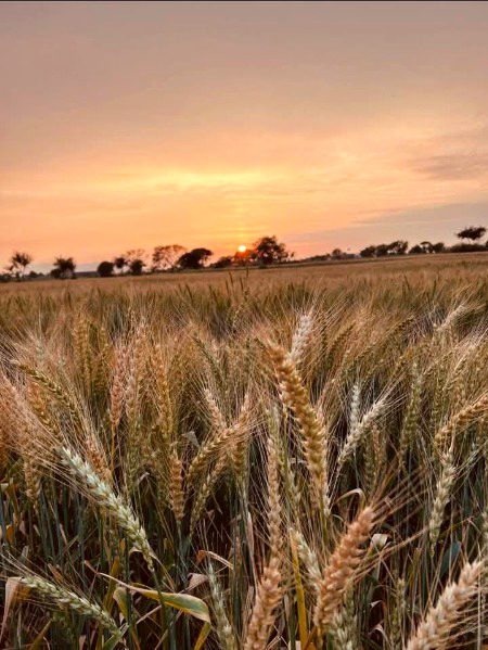 Beautiful Nature image