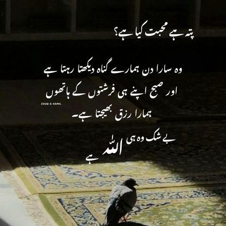 Islamic Quotes image