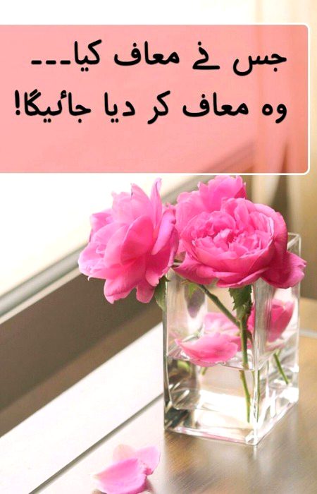 Motivational Quotes image