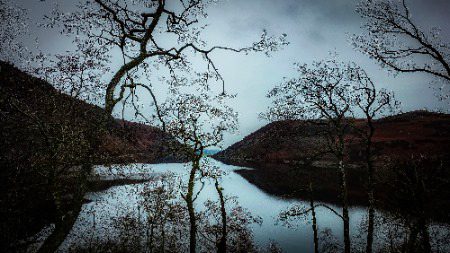 Beautiful Nature image