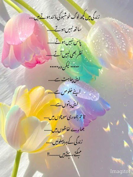 Beshak 🌺🌺