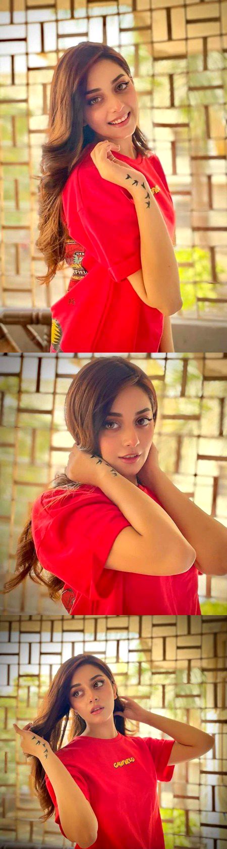 Pakistani Celebs image