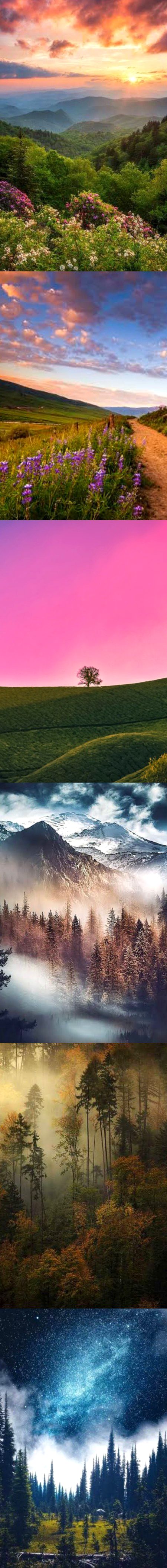 Beautiful Nature image