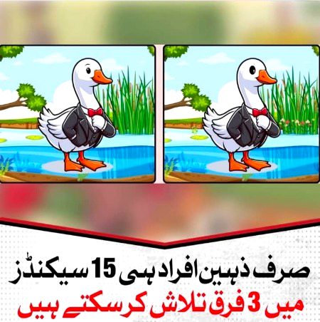 Chly btai 3 frq..