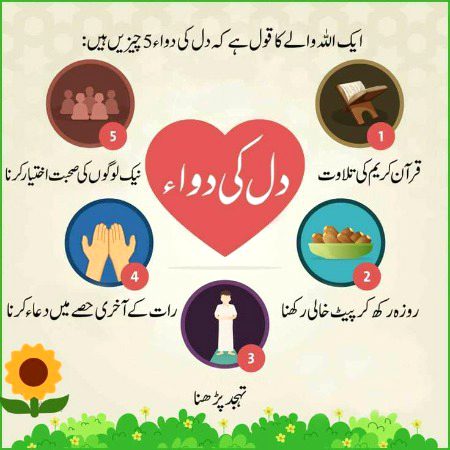 Islamic Quotes image