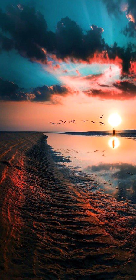 Beautiful Nature image