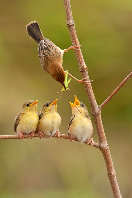 Beautiful Nature image