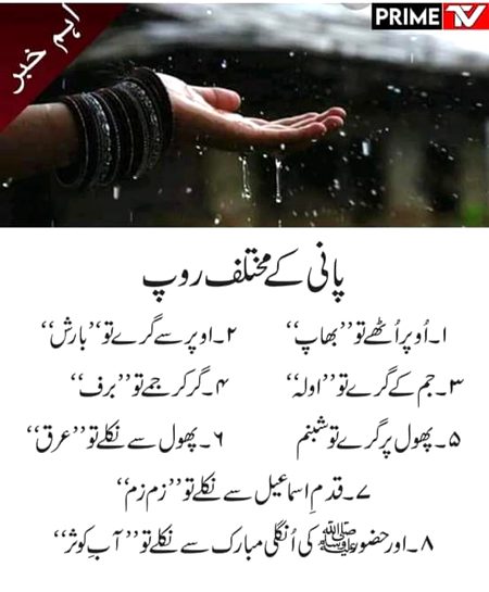 اَلسَلامُ عَلَيْكُم  صبح بخیر