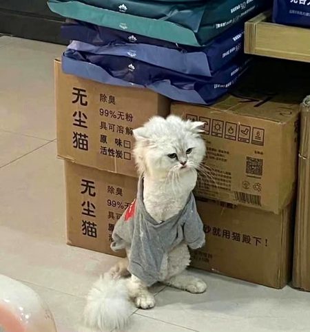 Me : all day at home ..