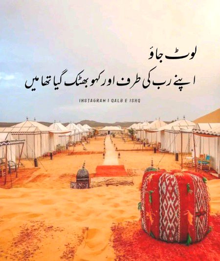 Islamic Quotes image