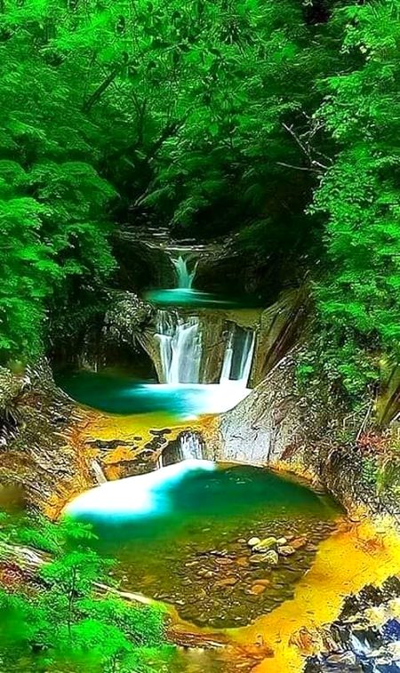 Beautiful Nature image