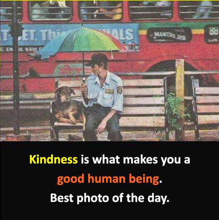Life Advice image