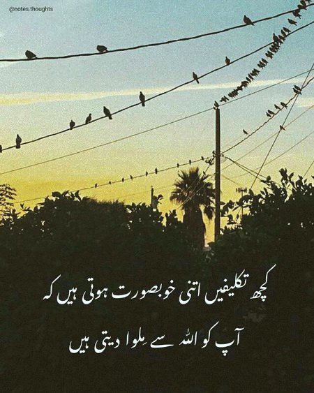کچھ تکلیفیں اتنی خوبصورت ہوتی ہیں کہ آپ کو اللہ سے ملوا دیتی ہیں 💕💕