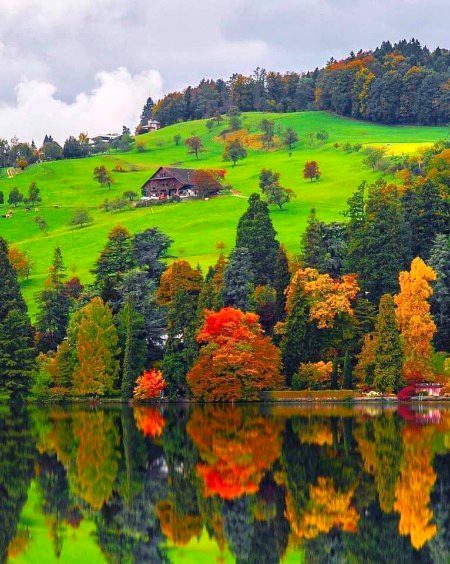 BEAUTIFUL NATURE