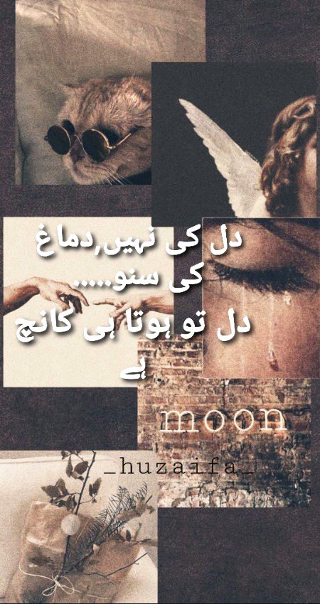 Attitude Quotes image