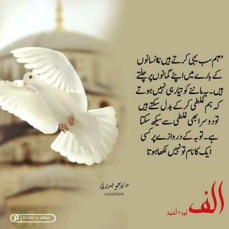 Romantic Novels image