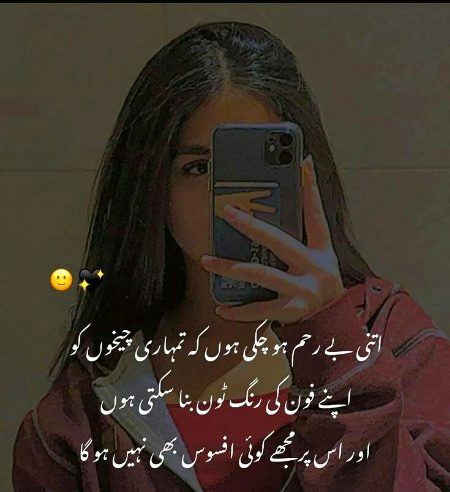 Attitude Quotes image