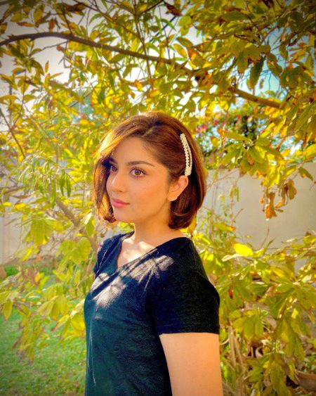 Pakistani Celebs image