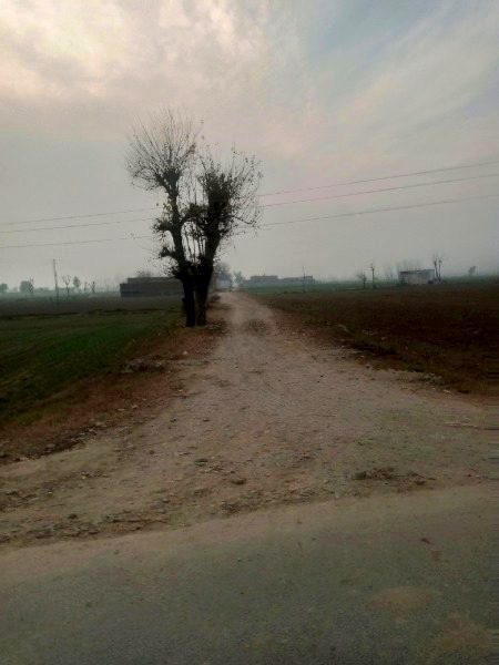 Beautiful Nature image