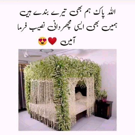Sb bolo ameen