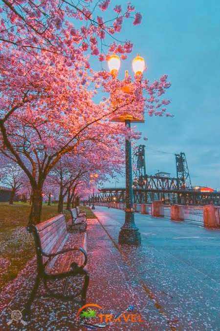 Beautiful Nature image