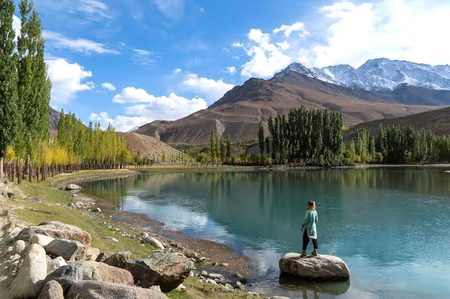 Beautiful Nature image