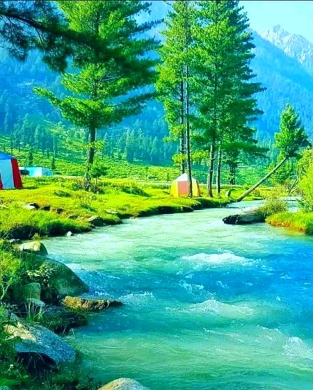 Beautiful Nature image