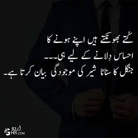 jangal Ka Sanata Sher ki Majoodgi Biyan krta hy