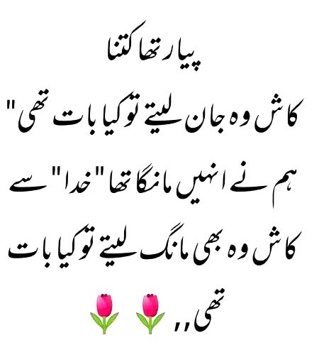 Sad Poetry image
