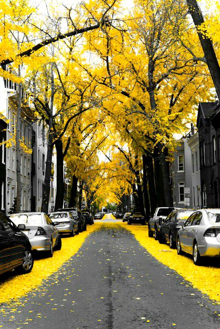 beautiful street😍