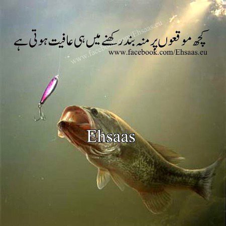 ❣️❣️ Saanaam ❣️❣️
Ba Zmeer bn . . Be Zmeer nh
Ahsan mnd bn. . Be Ahsan na bn