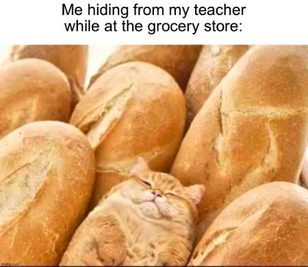 Memes & Satire image