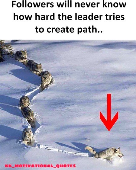 Life Advice image