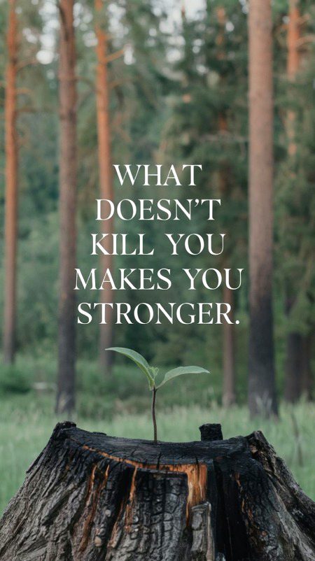 Life Advice image
